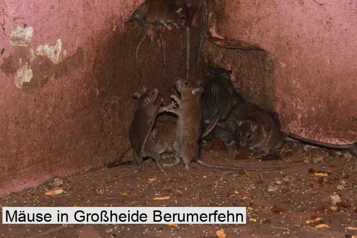 Mäuse in Großheide Berumerfehn